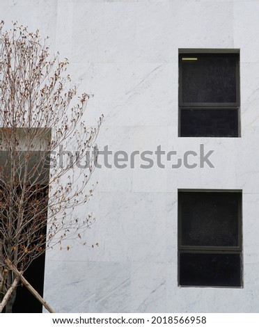 A white building with two windows and a tree next to it. Free space for text. The background.modern design.