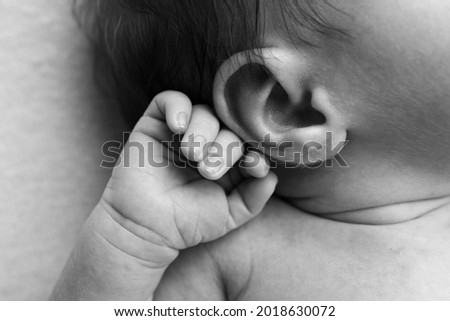 The newborn baby is sleeping. The little handle and little fingers of a newborn. Black and white photo.