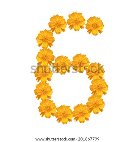 flower and numbers