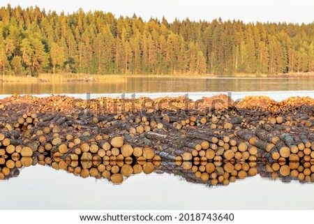 Piled softwood logs floating on the river in Finland Royalty-Free Stock Photo #2018743640