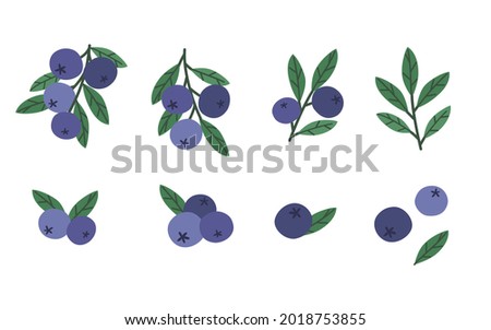 Set of blueberries. Cartoon style colorful hand drawn  vector illustration Royalty-Free Stock Photo #2018753855