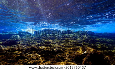 Underwater photo of beautiful landscape with reef, waves and rays of light.