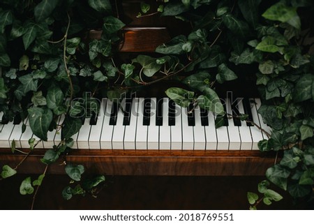 Wooden retro piano in green leaves. Royalty-Free Stock Photo #2018769551