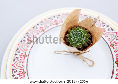 A cactus on a beautiful plate. Wedding table. Romantic decor.