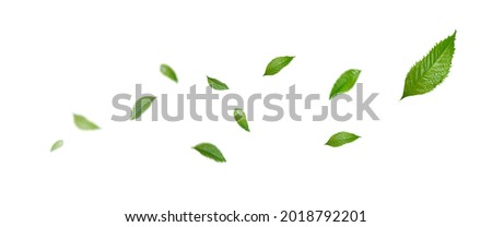 Green Floating Leaves, Air Purifier Atmosphere Simple Main Picture	 Royalty-Free Stock Photo #2018792201