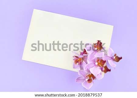 Blank paper with orchids on a blue background, copy space.