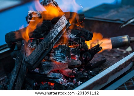 Flame on burning wood in fireplace, unfocused