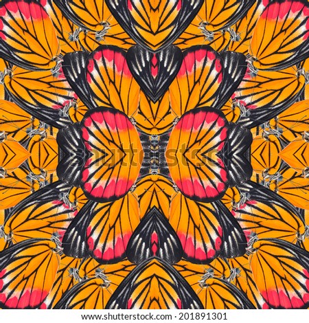 Seamless pattern made from butterfly wing . background texture