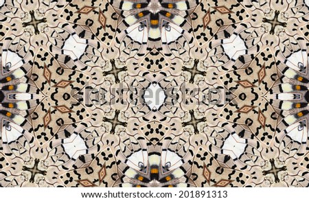Seamless pattern made from colorful butterfly wing . background texture