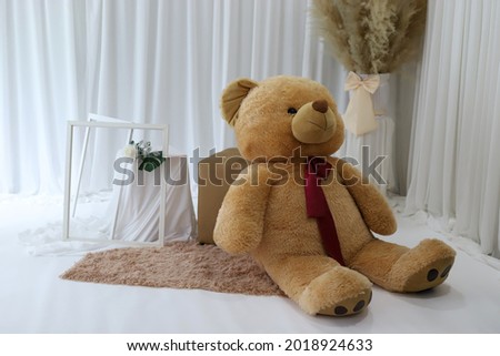big teddy bear with white frame