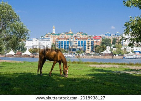 Bay horse grazing against the background of the embankment of the city of Rostov-on-Don Royalty-Free Stock Photo #2018938127