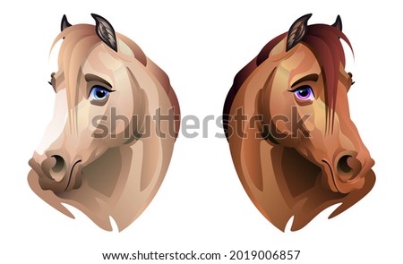 Horse portrait. Colored head, illustration. Red and cream color.