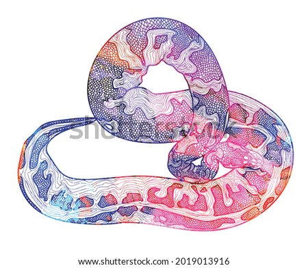Royal python snake.  Meditative coloring of antistress. Arrows, strips, scales, lines. Logo, print on the T-shirt. Children's painting, drawing by hand. 