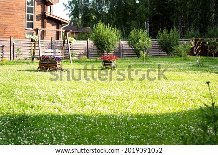 Decorative wooden carts with flowers on a lawn made of clover on the background of a wooden house and trees