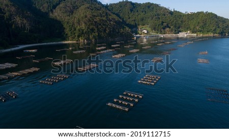 《Miyagi Prefecture》 Kesennuma Oshima ・ Oyster farming