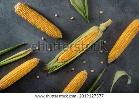 Young fresh corn on a stone table background. Diet food. Top view.