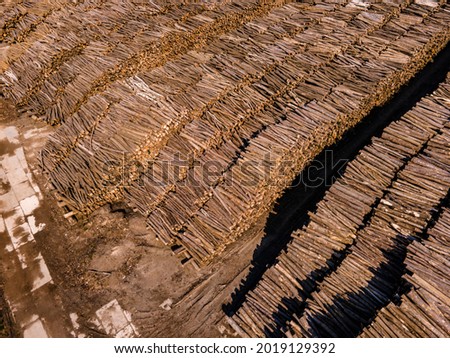 Rows of piled of logs , waiting to be processed. Log spruce trunks pile. Sawn trees from the forest. Logging timber wood industry. wood in stock