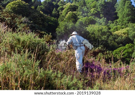 Beekeeper with his work team walking to the apiary. Copy space.