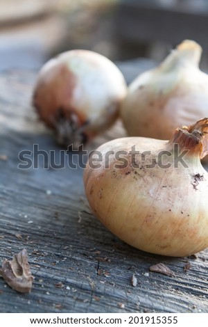 Three onions on a wooden surface. Selective focus.