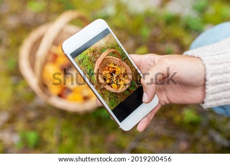 technology, picking season and people concept - hand with smartphone using mobile app to identify mushrooms in basket