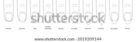 Manicure most popular fashion nail shapes flat style vector illustration set isolated on white background. Natural, squoval, oval, square rounded, square, almond, stiletto different shapes guidance. Royalty-Free Stock Photo #2019209144