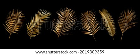 set of golden coconut leaves isolated on black background