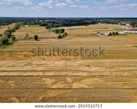 Fields, grasslands, forests and countryside seen from above - photo drone fields of cereals ready for harvest 
