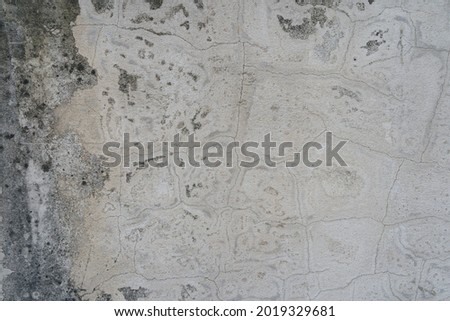 The mortar is cracked in lines with black water stains.The old whitewashed surface had a pattern similar to that of a map