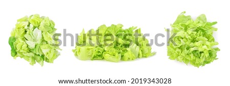 Heap of sliced green lettuce isolated on white background. Royalty-Free Stock Photo #2019343028