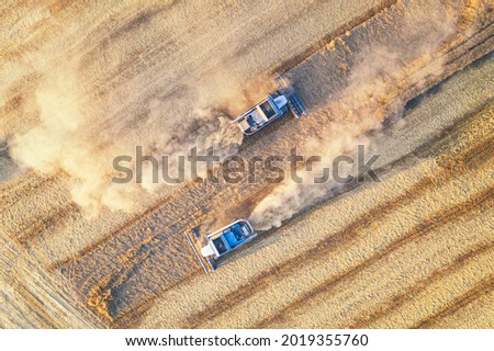 Aerial drone view of combine harversters on the harvest field. Agriculture concept