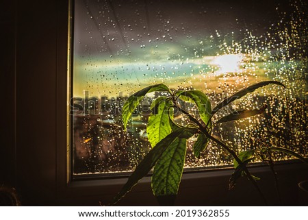 A window with raindrops, a city and clouds in the background