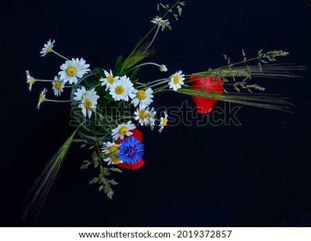 floral arrangement of red poppies, daisies, cornflowers and wildflowers on a black background