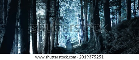 Illuminated rural road (alley) through the tall ancient trees at night, Scary forest scene. Tree silhouettes in the dark. Mysterious blue light. Gothic, silence, darkness, shadows, loneliness concept