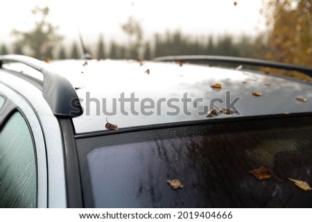 Autumn leaves stuck to a car covered in dew. Autumn morning cool and humid.
