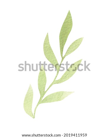 watercolor plant vector illustrations, for wedding invitations and graphic design. isolated hand drawn botanical clip art on white background, summer flowers and leaves decoration