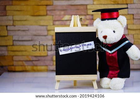 Cute teddy bear standing beside the board,congratulations on success concept.