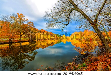 Autumn foliage is reflected in the river. Riverside environmnet of autumn river Royalty-Free Stock Photo #2019429065
