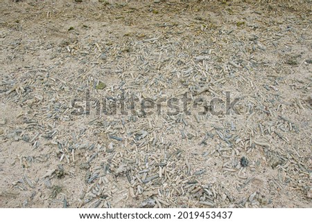 A picture of a beach at Koh Nang Yuan full of the remains of broken coral piled up on the sand.
