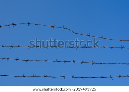 Razor wire coils on a security fence. High security facility or restricted area. Prison, incarceration or detention concept - border wall.barbed wire and blue sky background. concept of imprisonment.  Royalty-Free Stock Photo #2019493925