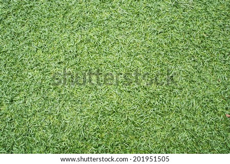 Artificial Grass Field Texture, Top view of green lawn background.