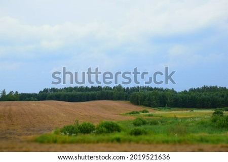 Beautiful landscape with forest, meadow and blue sky in Latvia. Stock Photo