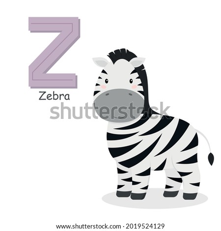Letter Z and a cute cartoon zebra. Children's English alphabet. It is suitable for the design of postcards, books, leaflets, banners, birthday invitations. Colorful vector illustration