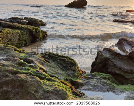 Beach of the Opal Coast (France)
