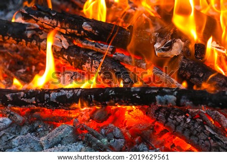 Flames Of Fire And Sparks Isolated On Black Background. Abstract Flaming Background. Magic Fiery Wallpaper. Flying Sparks Background, Closeup View. Bonfire Flaming In The Night. Energy Concept.
