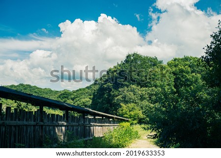 Dramatic Landscape of A Green Forest under The Thunderhead or Cumulonimbus in Summer in Japan, Countryside or Rural Area, Summer Vacation or Holiday Background, Nobody Royalty-Free Stock Photo #2019633353