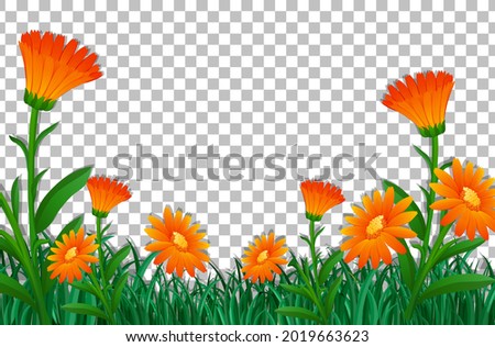 Orange flower field frame template on transparent background illustration