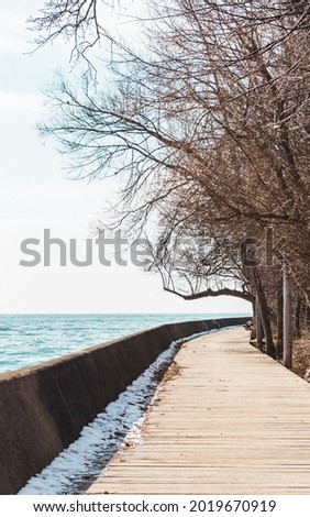 boardwalk in the park wooden road lake leafless trees lake