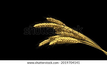 agriculture, gold wheat spikelets isolated. digital object 3D rendering