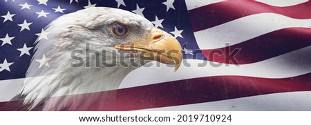 Patriotic eagle flying in front of US flag 