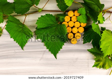 wine corks are laid out in the form of a grape brush grape branches on a painted wooden background copyspace. High quality photo